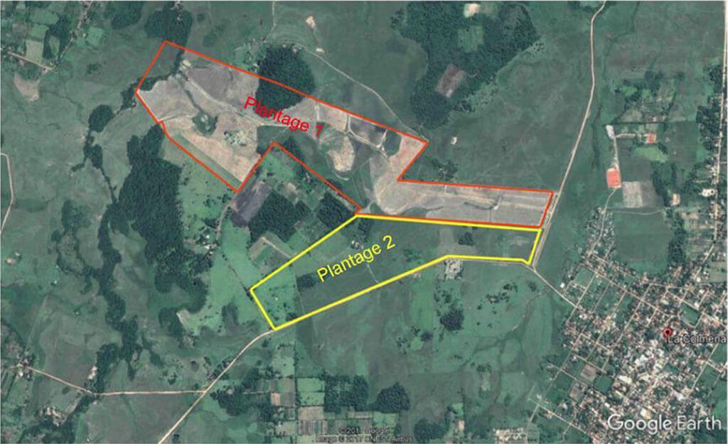 Bild-Orangenplantage-1-und-2-Agriterra-La-Colmena-Rendita-Investa Orangenplantagen Abschnitte 1 und 2 Agriterra Paraguay Rendita-Investa